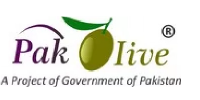 -_Pak Olive